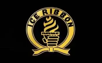 Watch Ice Ribbon Ps Party 1/6/21 Full Show Online Free